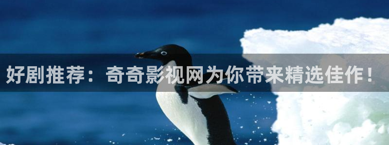 八戒午夜69理论影片：好剧推荐：奇奇影视网为你带来精选佳作！