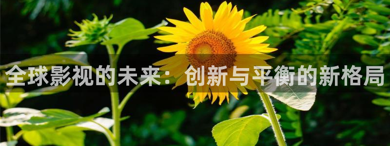 秋霞高清理论在线：全球影视的未来：创新与平衡的新格局