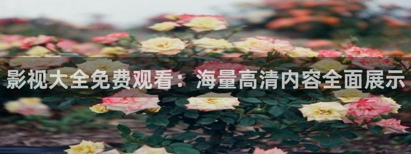 秋霞影院在线理论：影视大全免费观看：海量高清内容全面展示